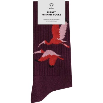 Sport socks red birds