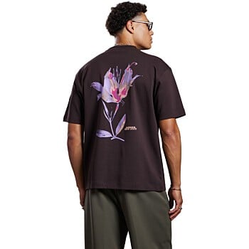 Manolo tee ganache brown