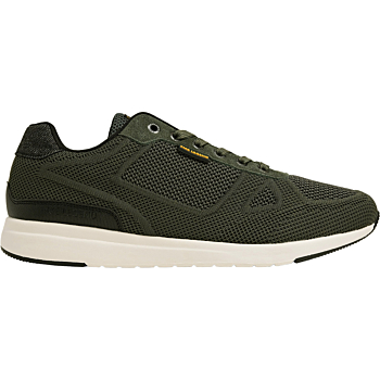 Low sneaker Dornier Chinois Green