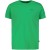 Airforce basic t-shirt island green
