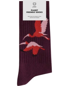 Sport socks red birds