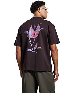 Manolo tee ganache brown