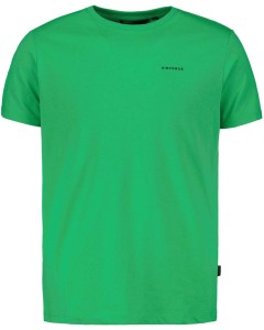 Airforce basic t-shirt island green