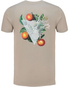 Triangle Orange Branch T-shirt Taupe