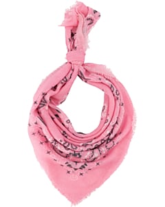 Fee Scarve