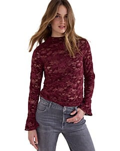 Top Pomegranate