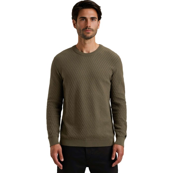 Crewneck regular fit cotton stretc Crocodile