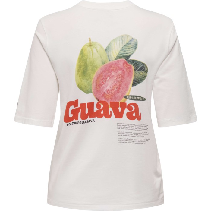 ONLPHOEBE S/S FRESH TOP BOX JRS Cloud Dancer/Guava