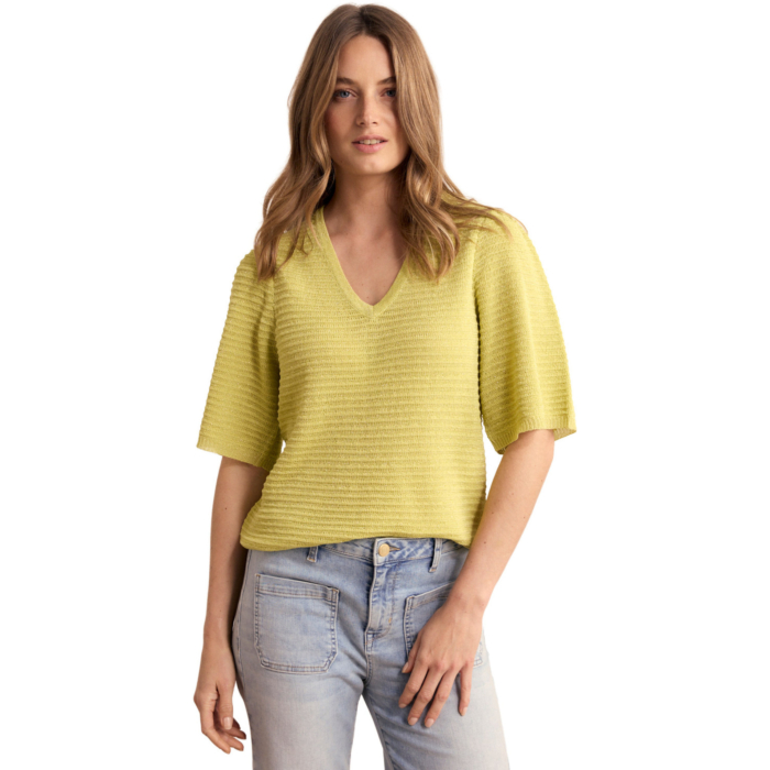 Jumper Celery