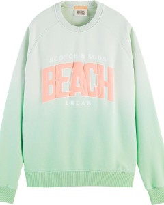 Relaxed graphic washed crewneck fel mint